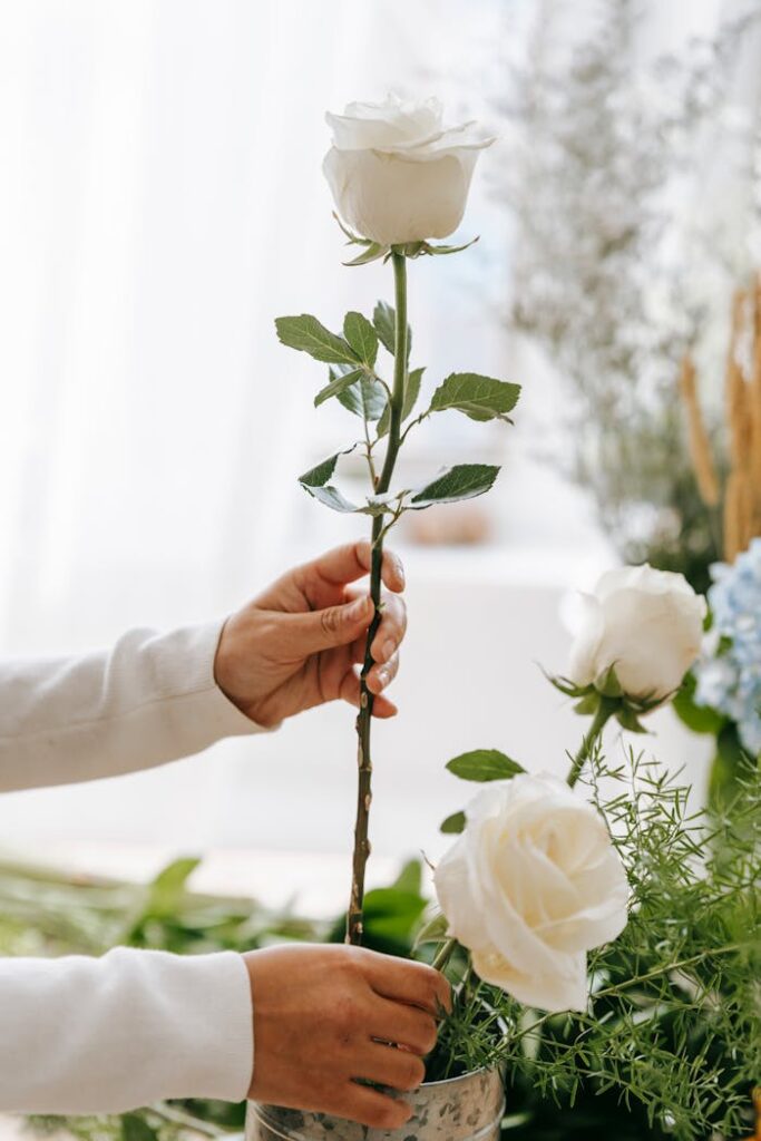 pexels-photo-6913763 Anonymous person putting rose in vase